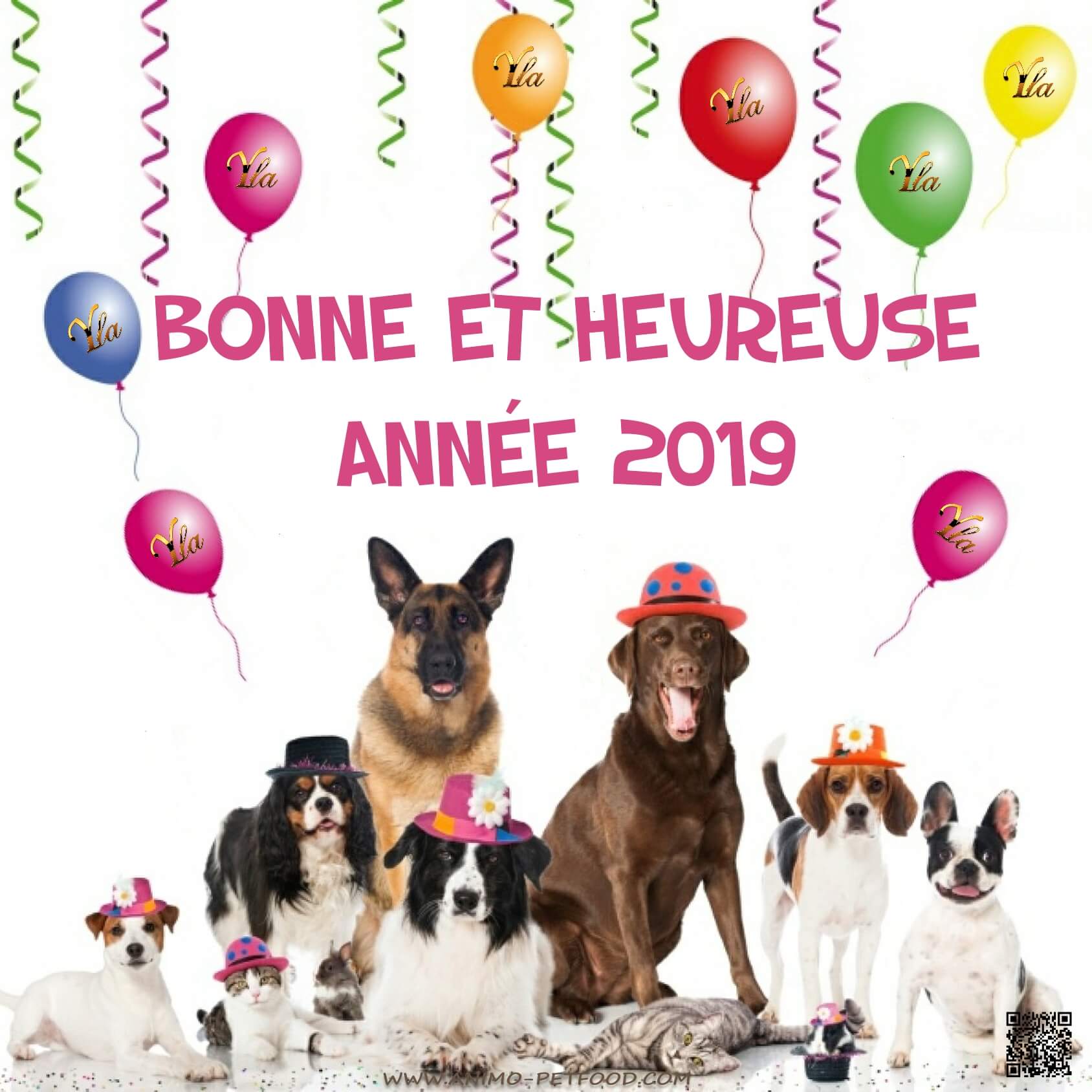 Bonne année 2019- Animo Petfood